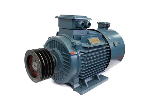 Variable Frequency AC Motor