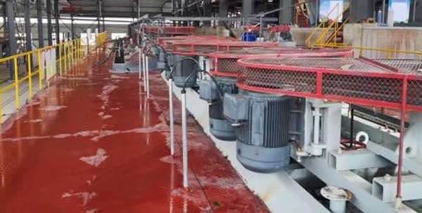 Gold Flotation Production Line